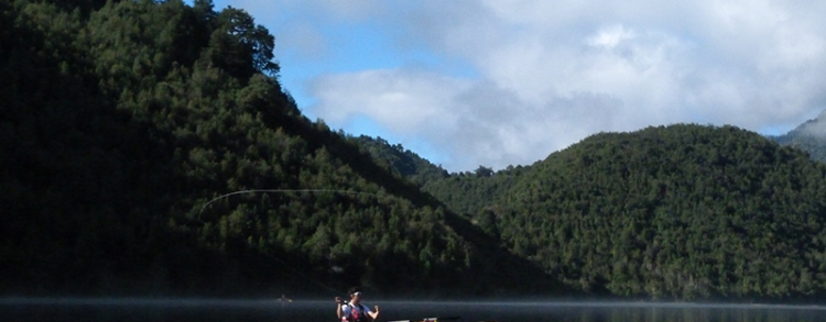 Kayak